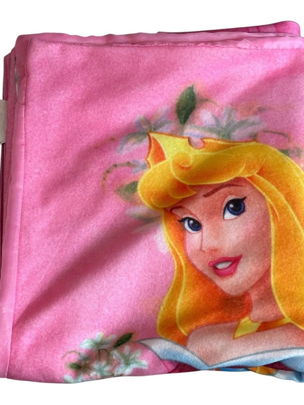 Disney 58”x 23